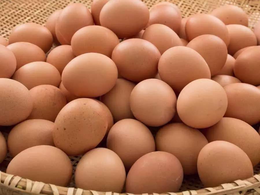 FARM FRESH CAGE EGGS 700G
