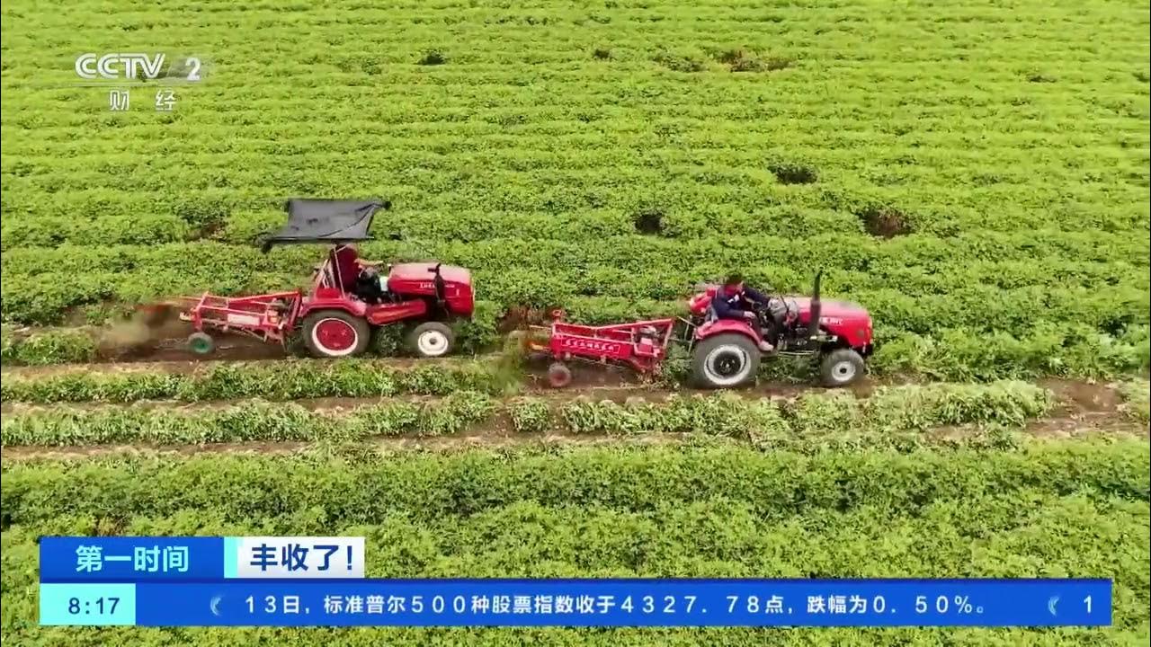 丰收日 无皮花生 12KG