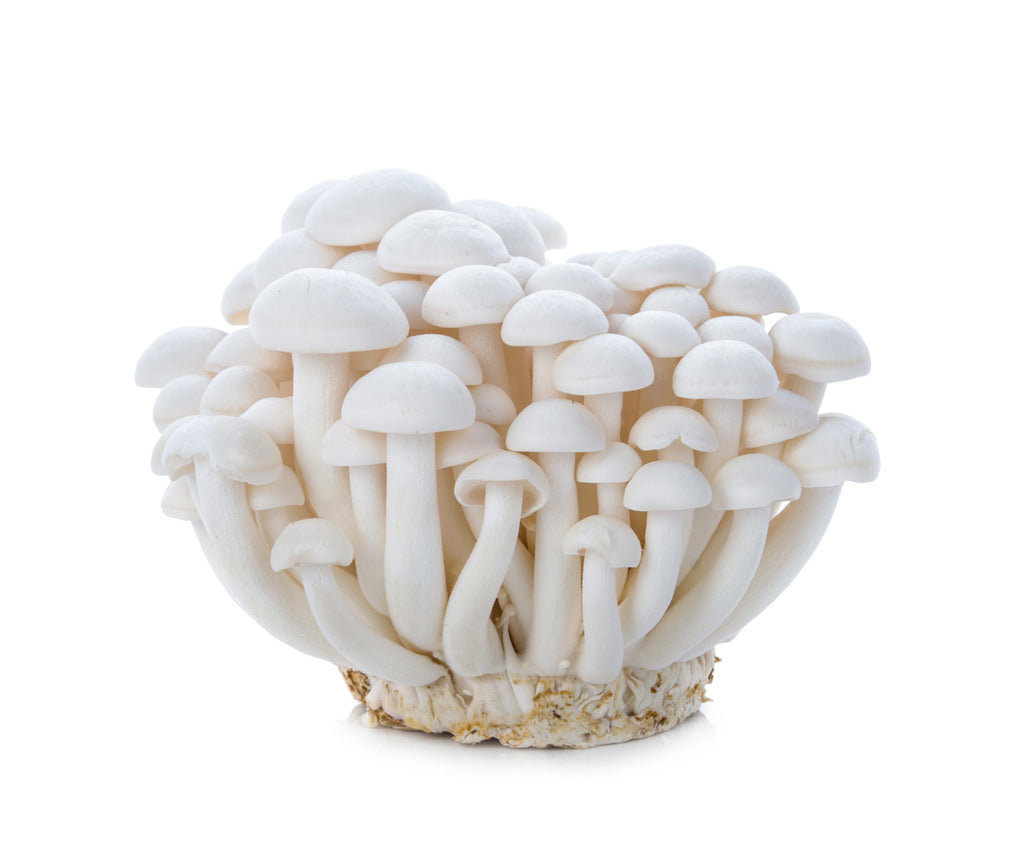 WHITE SHIMEJI MUSHROOM150G