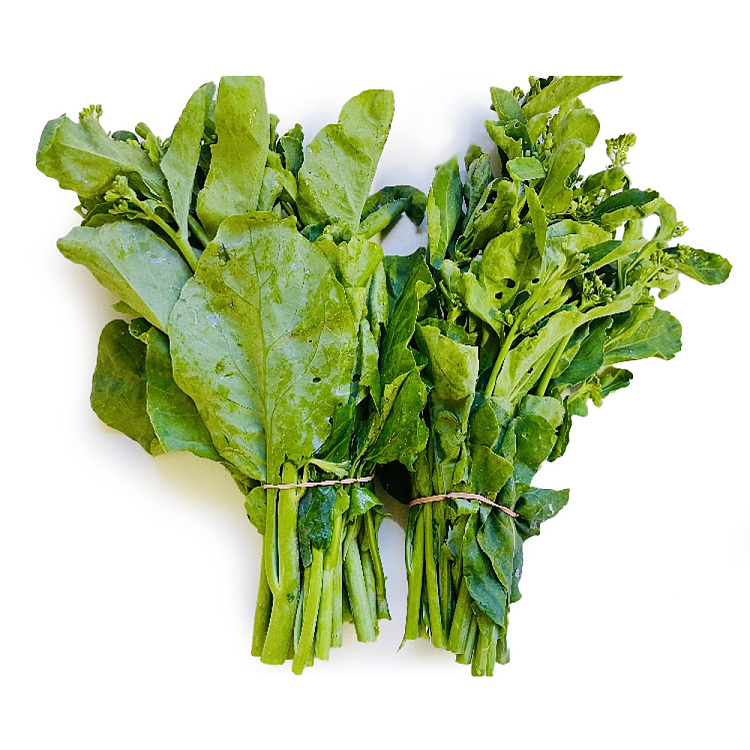 GAI LAN /BUNCH