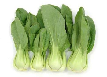 BABY BOK CHOY /BUNCH
